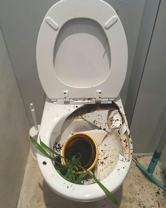 Фейлы, которые могут случиться с каждым
