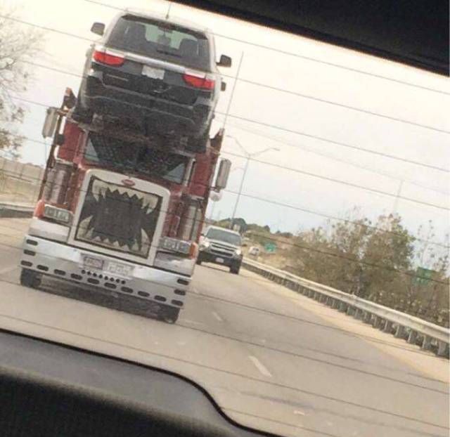 Прикольные картинки