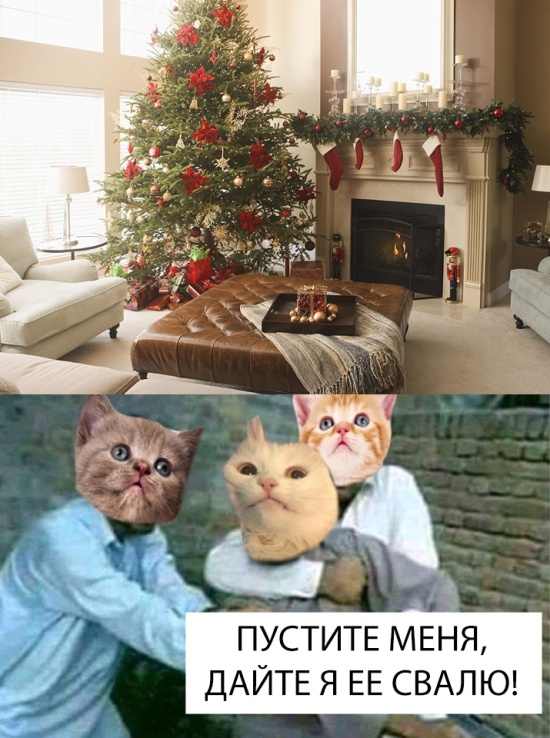 Прикольные картинки