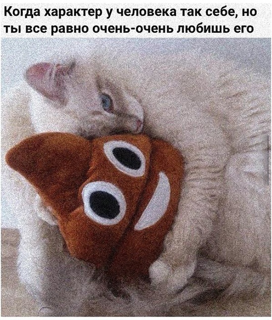 Комментарии и высказывания из социальных сетей