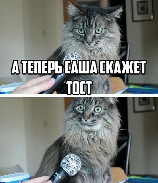 Порция картинок