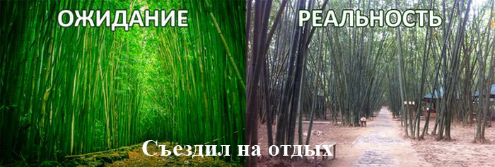 Порция картинок