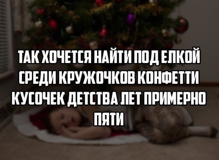 Порция картинок