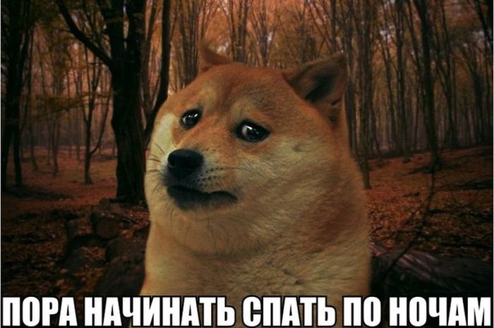 Порция картинок