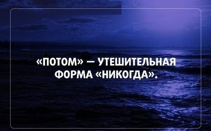 Порция картинок