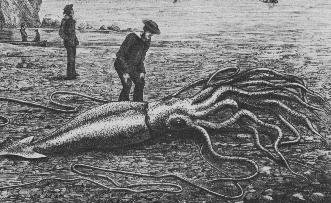 Ужасные кракены из морских пучин Ужасные кракены из морских пучин