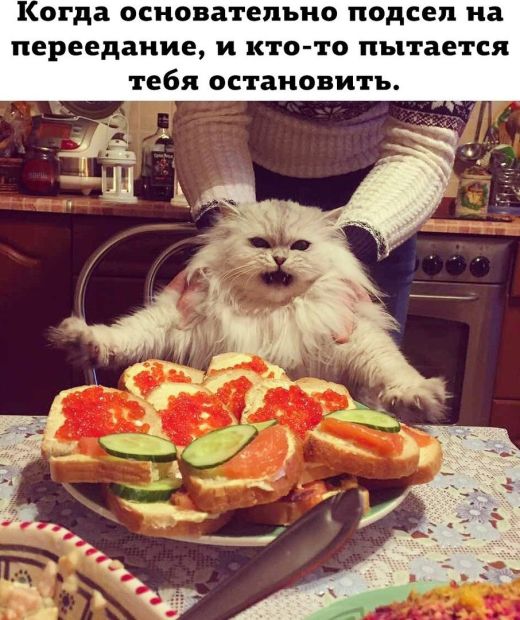 Когда долгие выходные подходят к концу