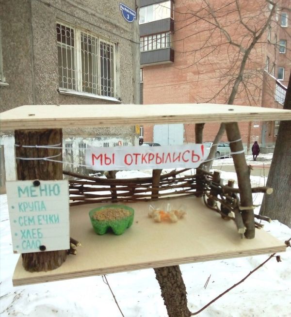 Прикольные картинки