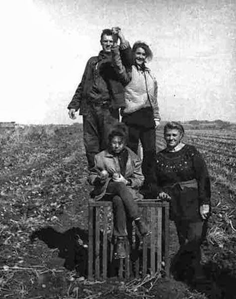 Все на картошку! (39 фото) Все на картошку! (39 фото)
