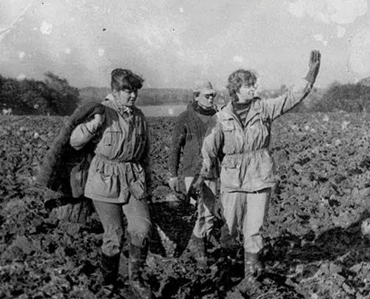 Все на картошку! (39 фото) Все на картошку! (39 фото)