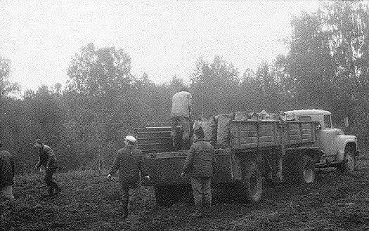 Все на картошку! (39 фото) Все на картошку! (39 фото)