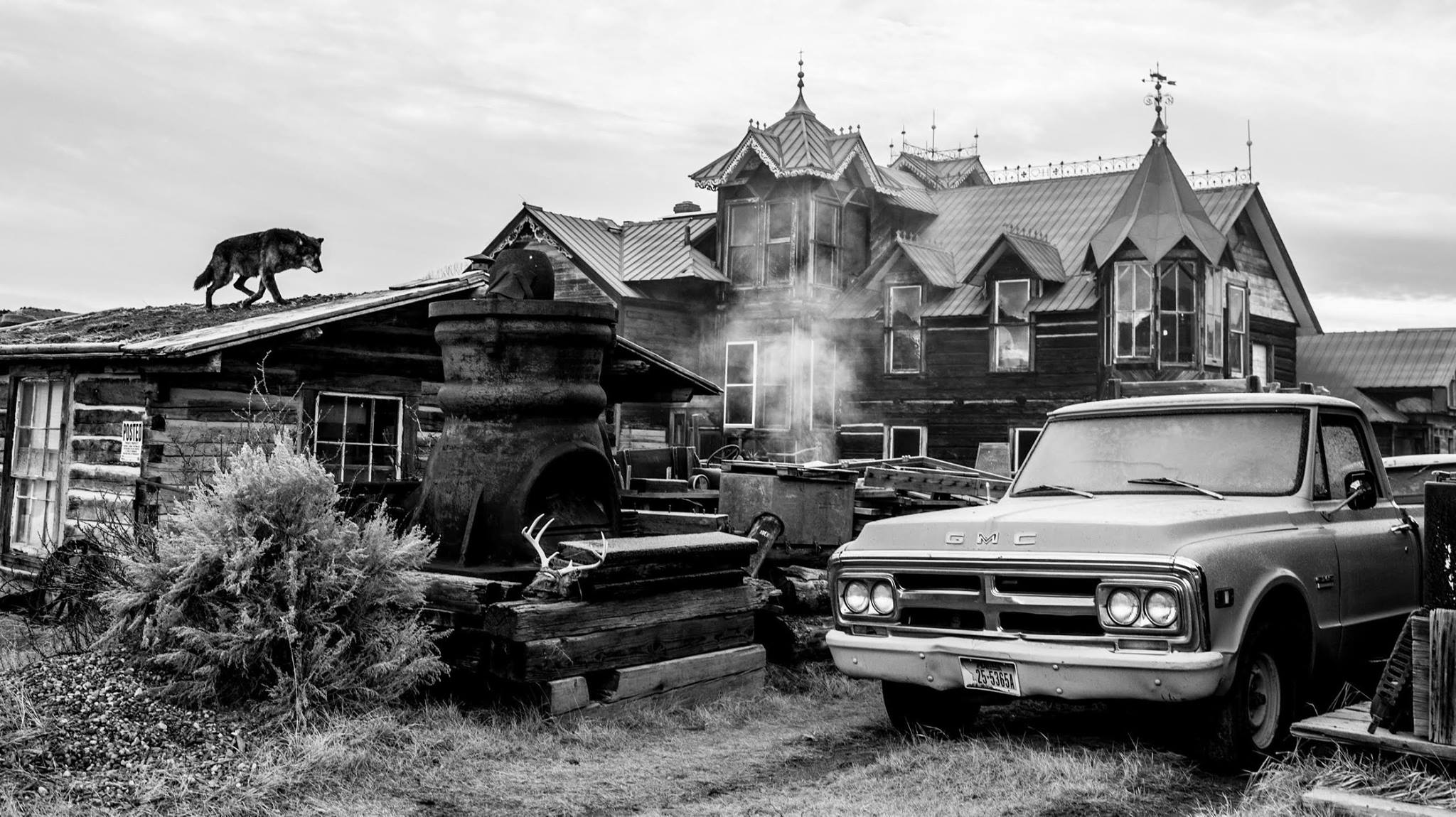 Сюрреалистические фотографии диких животных Дэвида Ярроу