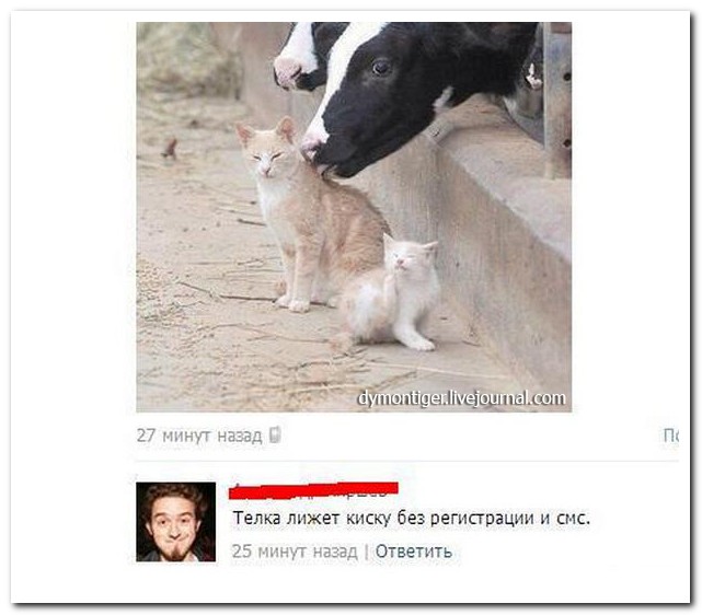 Смешные комментарии из социальных сетей