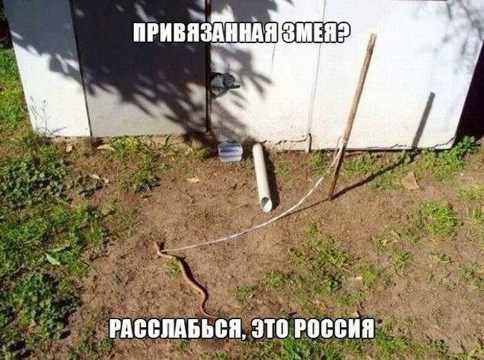 Только в России  (25 фото)