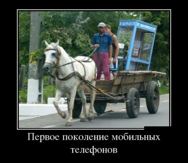 Демотиваторы