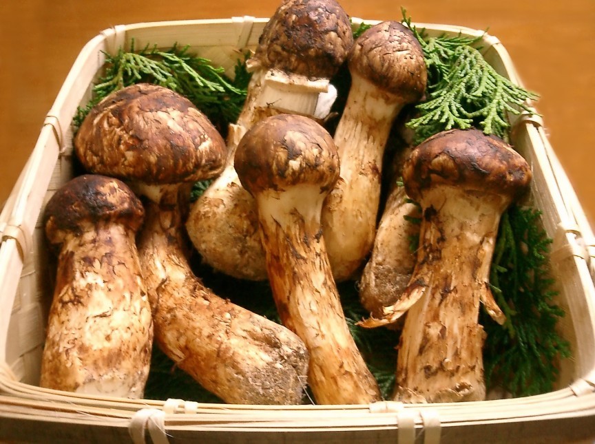 10 самых дорогих продуктов питания в Японии