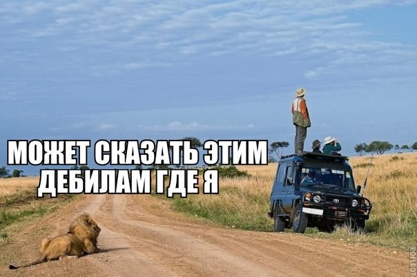 Смешные картинки с надписями