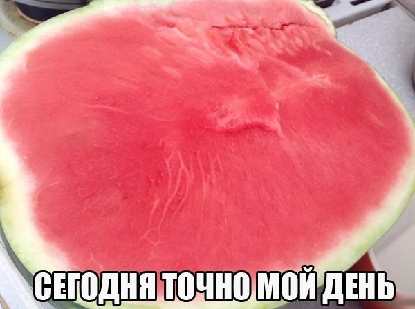 Смешные картинки с надписями