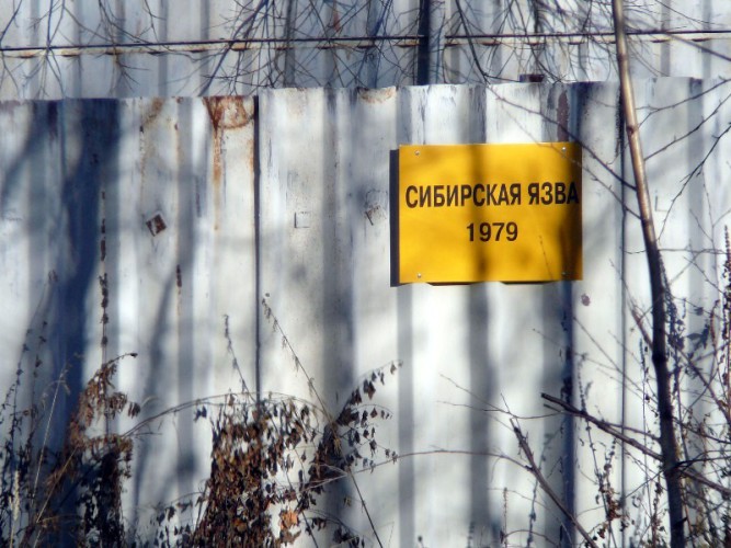Сибирская язва в СССР Сибирская язва в СССР