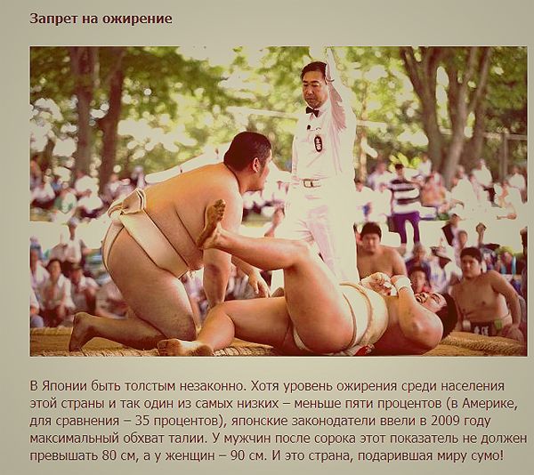 Нелепые запреты и правила