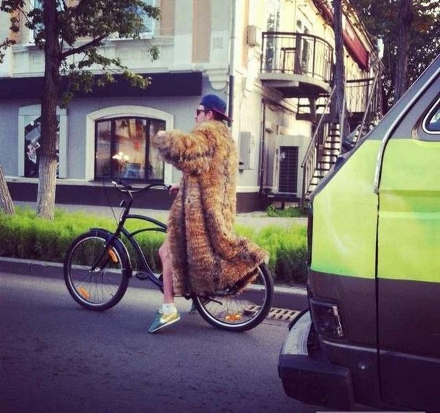 Прикольные картинки