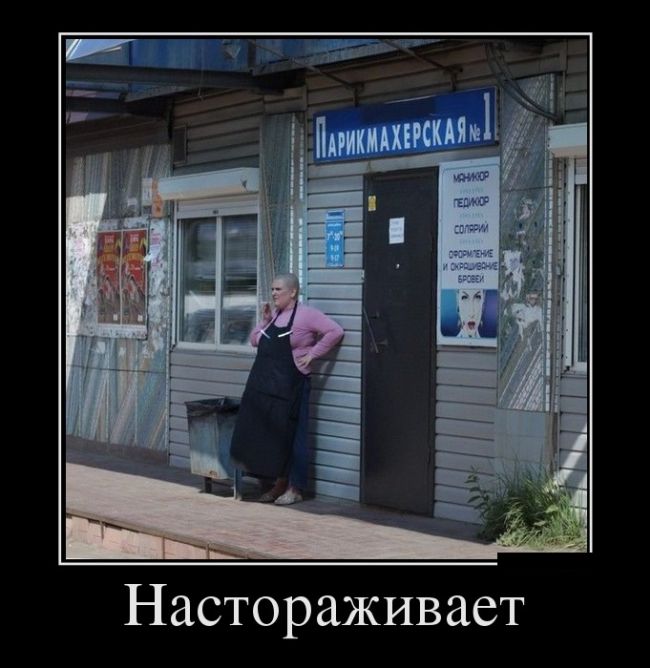 Демотиваторы