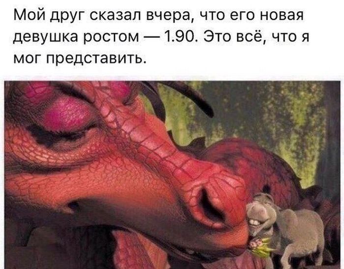 Прикольные картинки