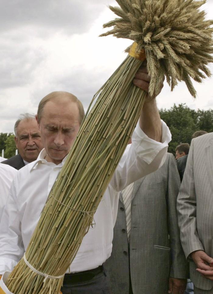 Владимиру Путину 65 Владимиру Путину 65