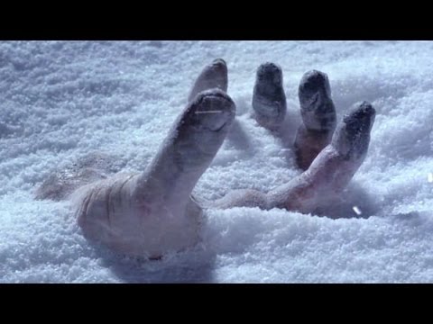 «А кто это у нас тут такой мертвенький?» или самые необычные места, в которых находили трупы «А кто это у нас тут такой мертвенький?» или самые необычные места, в которых находили трупы