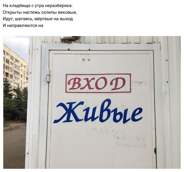 Рифмы обо всем на свете