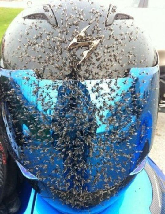 Автоюмор