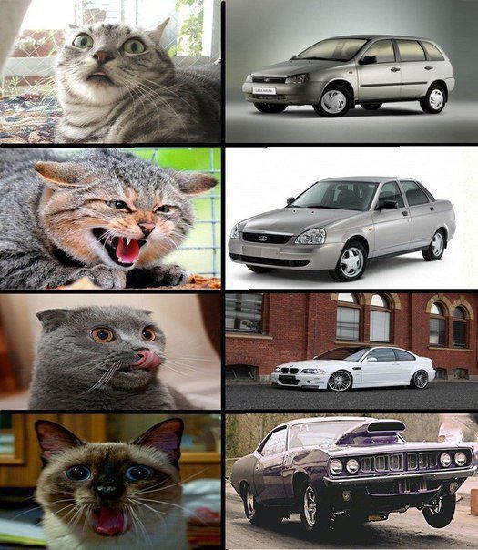 Автоюмор