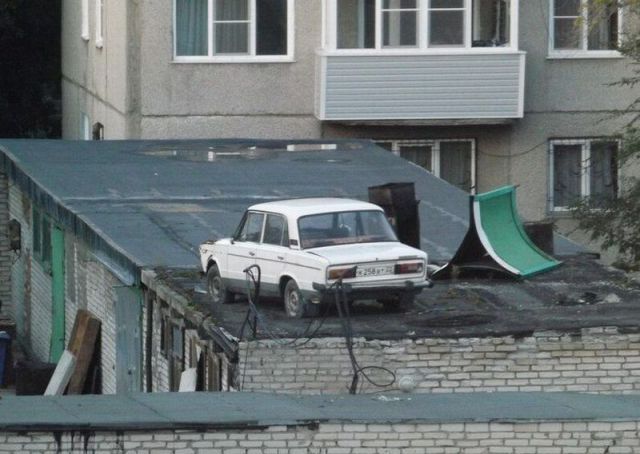 Прикольные картинки