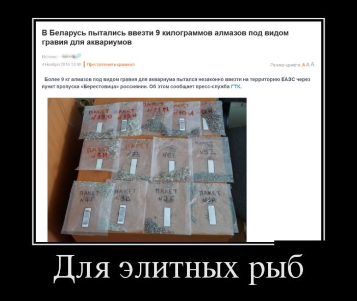 Демотиваторы