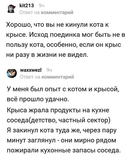 Юмор и комментарии из социальных сетей