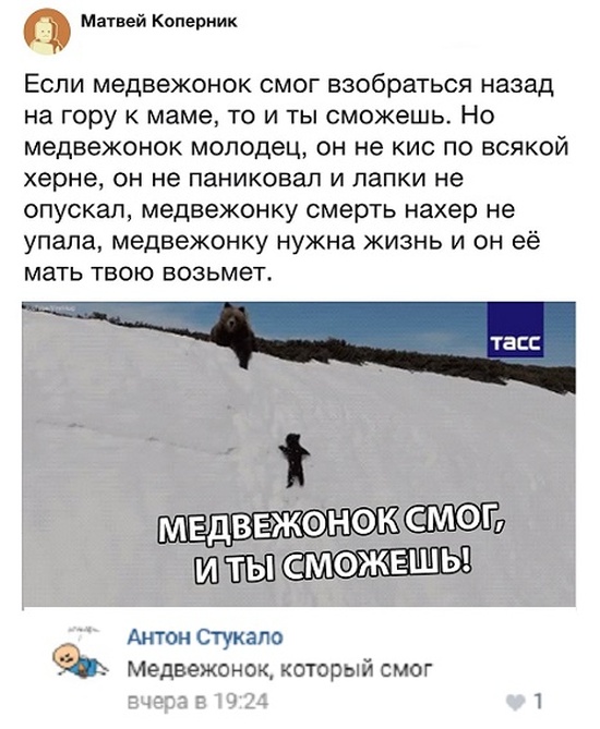 Юмор и комментарии из социальных сетей
