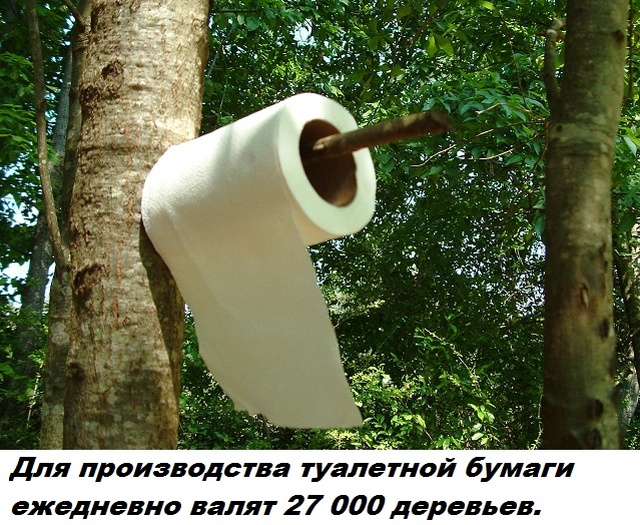 Бесполезные факты обо всем на свете