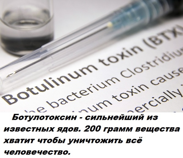 Бесполезные факты обо всем на свете