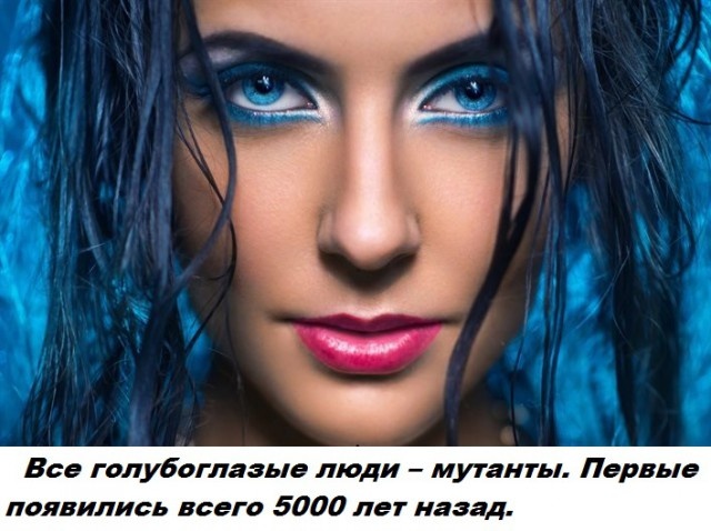 Бесполезные факты обо всем на свете