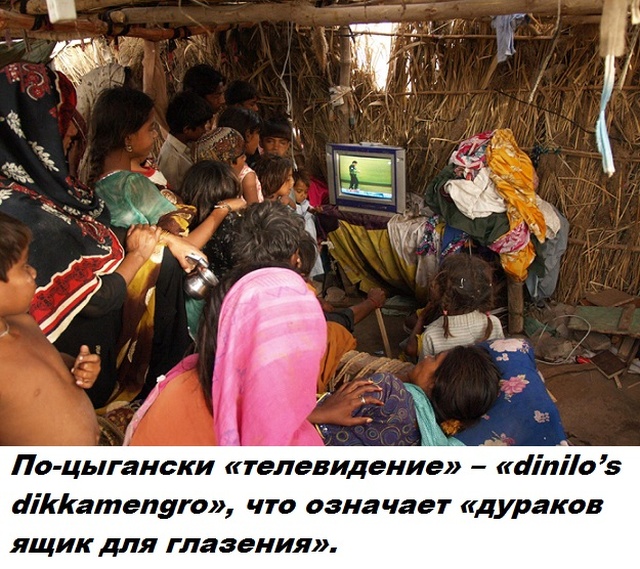 Бесполезные факты обо всем на свете