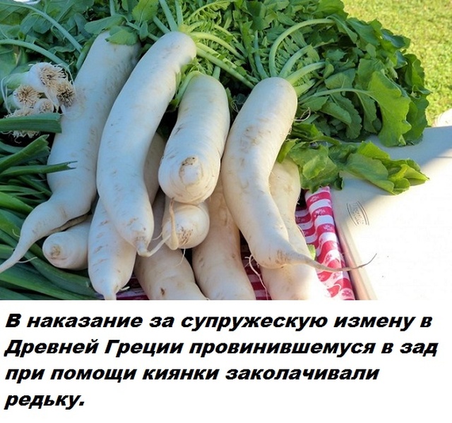 Бесполезные факты обо всем на свете