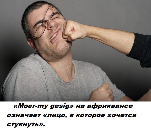 Бесполезные факты обо всем на свете