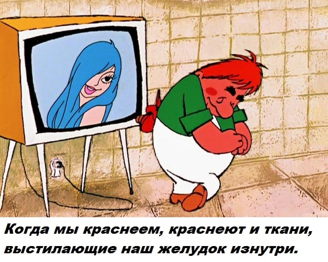 Бесполезные факты обо всем на свете