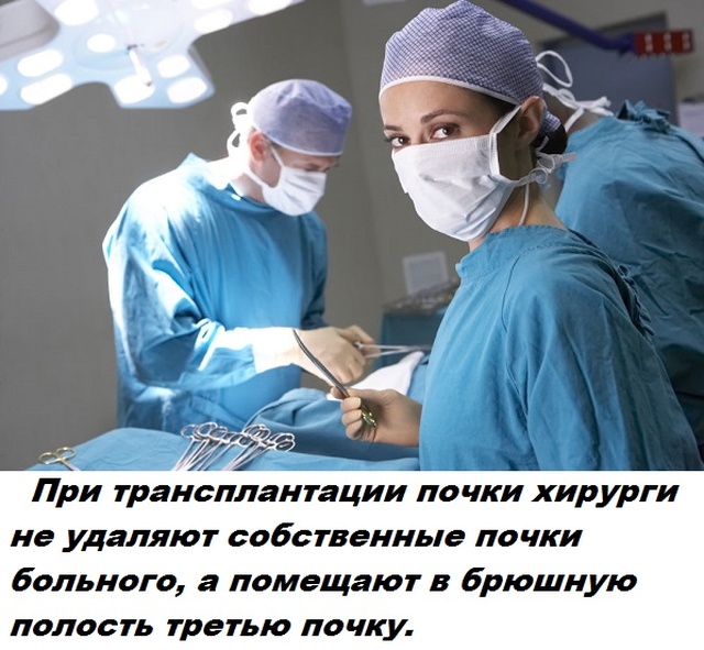 Бесполезные факты обо всем на свете