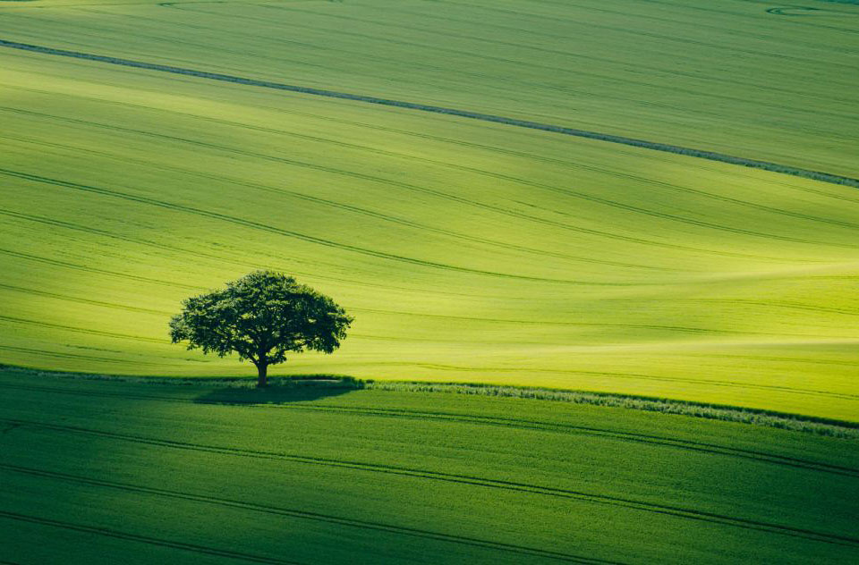 6-й ежегодный конкурс фотографов-пейзажистов