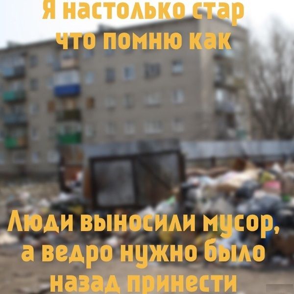 Прикольные картинки (64 фото)