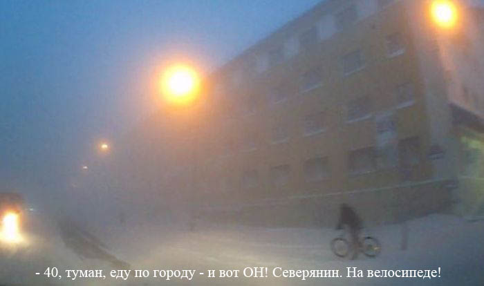 Прикольные картинки (64 фото)
