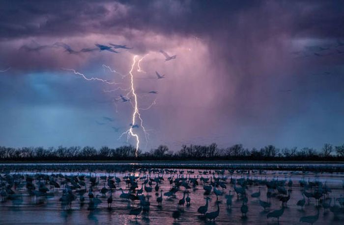 Лучшие фото журнала National Geographic 2016 года