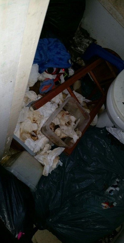 Мамаша с двумя детьми превратила арендованный дом в сортир