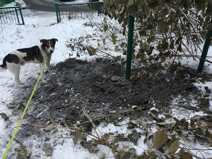 «Веселые» будни сегодняшних наркоманов «Веселые» будни сегодняшних наркоманов